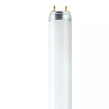 OSRAM L T8 36W/840 G13 fluorescencinė lemputė 1200mm 4000K šalta balta