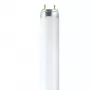 OSRAM L T8 36W/840 G13 fluorescencinė lemputė 1200mm 4000K šalta balta