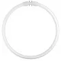 Osram Circular Fluorescent Lamp T5 FC22W 840 2GX13