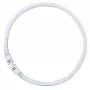 OSRAM LUMILUX T5 FC Circular Fluorescent Lamp 55W 865 Daylight 2GX13