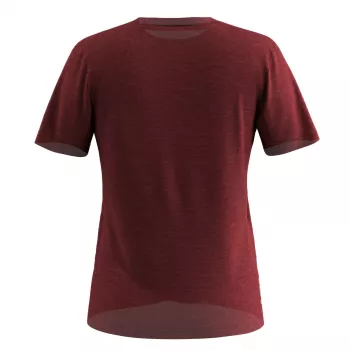 Moteriški marškinėliai Salewa Eagle Eitd AM T-Shirt