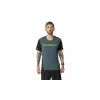 SALEWA Dynafit Alpine 2 S/S Tee Running T-Shirt - Cinder (Size S)