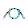 BlueOptics Synology QSFP-100G-AOC-30M suderinamas AOC QSFP28 aktyvus optinis kabelis 30m