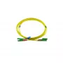 BlueOptics Duplex Fibre Optic Patch Cable, E2000-APC/E2000-APC, Singlemode OS2, 5m, Green, LSZH