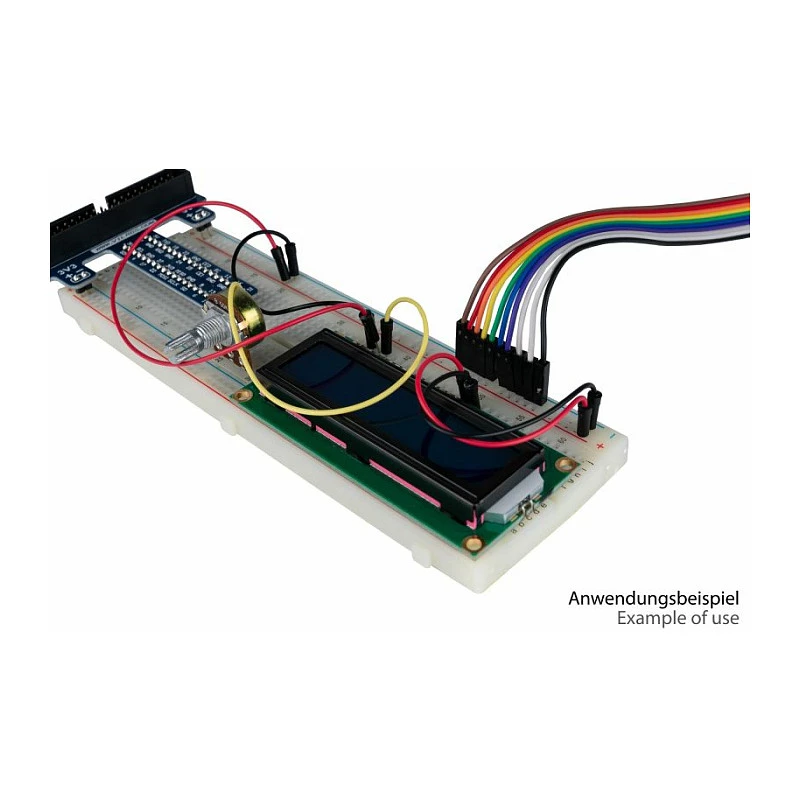 Kabelmeister Jumper Wire 40-Pin atskiriami laidai, skirti Arduino, Raspberry Pi ir kt., Moteriški-moteriški, 20 cm