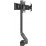 Rockstable RS-MM005 Advanced Dual Monitor Mount - Clamp / Grommet - 16 kg - 33 cm (13 inch) - 68,6 cm (27 inch) - 100 x 100 mm - Juoda