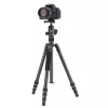 Vanguard VESTA GO 264CB anglies pluošto kelioninis trikojis