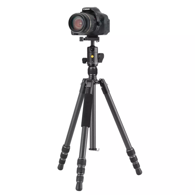 Vanguard VESTA GO 264CB anglies pluošto kelioninis trikojis