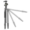 Vanguard VESTA GO 264CB anglies pluošto kelioninis trikojis