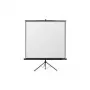 Reflecta Crystal-Line Tripod 240x240 cm matinis baltas ekranas
