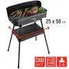 FRITEL Starter BBQ 2246 elektrinė kepsninė su stovu, 2200 W, juoda