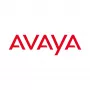 Avaya Ethernet Routing Switch 4850GTS - L3 valdomas Gigabit jungiklis - 48 prievadai - 2x SFP+ - montuojamas į stelažą
