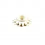 Brother IDLE GEAR 13 H Genuine OEM Plastic Spur Gear, skirtas HL-L8250CDN HL-L8350CDW HL-L9200CDWT MFC-L8650CDW MFC-L8850CDW MFC-L9550CDW