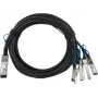 BlueLAN suderinamas Mellanox MCP7H50-V001R30 pasyvus 200GBASE-CR4 QSFP56 į 2x100GBASE-CR2 QSFP56 tiesioginio prijungimo atšakos kabelis, 1 metras, AWG26