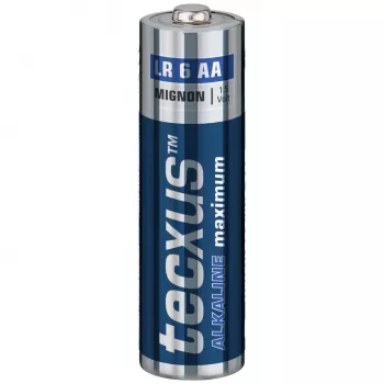 TECXUS Mignon AA Standard Batteries Alkaline LR6 1,5V