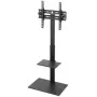 TV ar monitoriaus stovas BRATECK-FS22-44TP