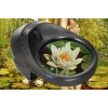 Levenhuk ERGO 30 Skaitmeninis mikroskopas 2.0 MP 20x-230x USB