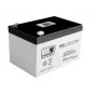 LEAN CARS AGM Gel Battery 12V 12Ah for Car