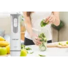 ZELMER ZHB4555S 1000W Panardintuvas, sidabrinis/juodas, nerūdijančio plieno peilis, kintamas greitis su turbo, smulkintuvas 500ml, plaktuvas, indelis 700ml