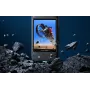Screen Protector Insta360 X3 - Grūdintas stiklas 9H, 2 vnt. pakuotė