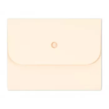ELCO Ordo Forte dokumentų aplankas A4, 320 x 245 mm, 320 g/m², šviesiai kreminė (chamois), 25 vnt. (29494.41)