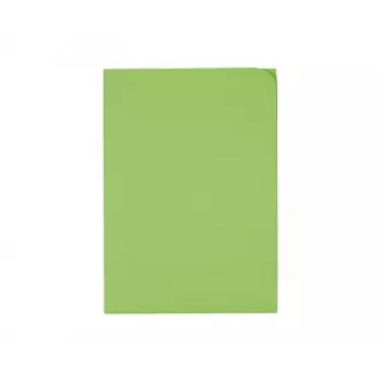ELCO Ordo Discreta dokumentų aplankas A4, 220 x 310 mm, 120 g/m², intensyviai žalia, 100 vnt. (29466.62)