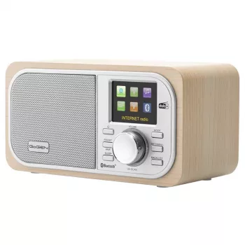 GOGEN IR237BTDAB Internetinis radijas su DAB+, FM, Bluetooth, Wi-Fi ir 2,4 colio spalvotu LCD ekranu