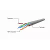 Gembird Cat5e UTP RJ45 Patch Cable 1m Orange