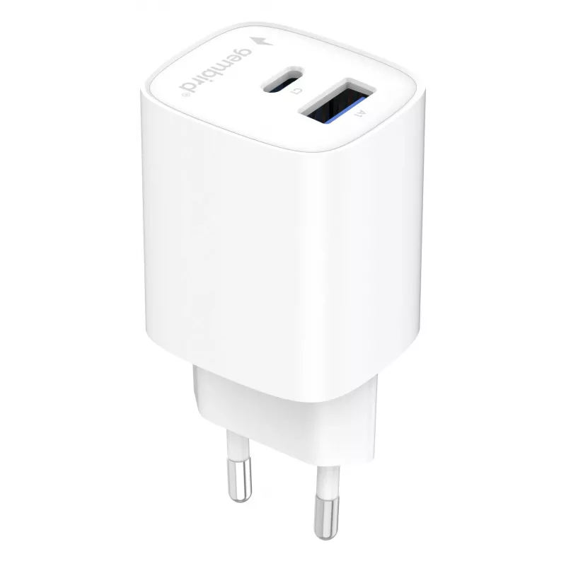 Gembird TA-UC-1A1C-PD45-01-W 45W USB-C PD sieninis įkroviklis baltas