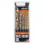 ALPEN-MAYKESTAG Alpen PTM 5 Profi Holz 4-5-6-8-10 medienos grąžtų rinkinys, 5 vnt., 4-10 mm