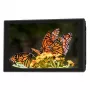 Portkeys HD7T 7 colių 2200 cd/m² IPS vaizdo monitorius su 3D LUT