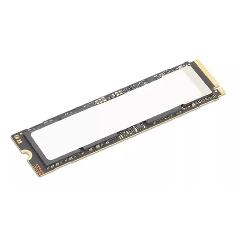 Lenovo TS 2TB Performance PCIe Gen5 NVMe Opal2 M.2 2280 SSD