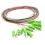 12x Pigtail SC/APC Vienmodis G.657.A2 2m Auksiniai Jungtys