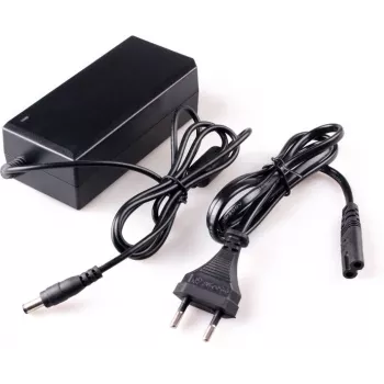 DELTA perjungiamasis maitinimo šaltinis 12V 5A 60W