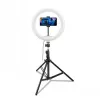 CELLY Ring Professional Tripod with Light - 160cm, 10 inch LED Ring Light, USB Powered, Black