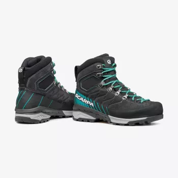 Moterų žygio batai Scarpa Mescalito GTX 37