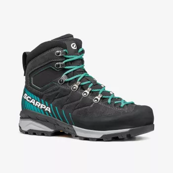 Moterų žygio batai Scarpa Mescalito GTX 37