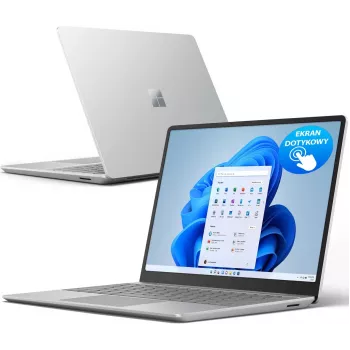 Microsoft Surface Go Intel Core i5-1035G4 8GB RAM 256GB SSD 12.3 inch Touchscreen Windows 10 Pro Platinum