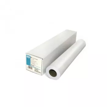 HP Professional Matte Canvas Roll 42 colio 430 g/m², skirtas Designjet 5000 5500 Z2100 Z3100