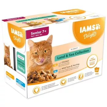 IAMS Delights Senior Land & Sea rinkinys padaže 12x85g