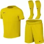 Nike Dri-FIT Park VIII vaikų futbolo komplektas geltonas HV8260 719 XL