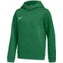 Nike Park 26 vilnos gobtuvas vaikams žalia IB1226 302 M