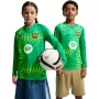 Nike FC Barcelona Stadium vartininko vaikų futbolo marškinėliai 2026/27 žali II3610 324 XL
