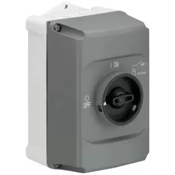 ABB STOTZ-KONTAKT izoliacinis gaubtas IB132-G, 2 moduliai, montuojamas ant paviršiaus, IP30, baltas (1SAM201911R1010)