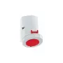 BALS 1155 sieninis lizdas 32A 5 polių 400V 6h IP67 raudonas/pilkas