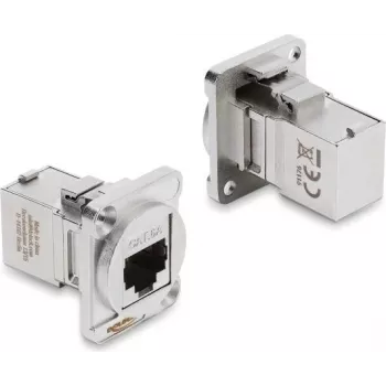 Delock D-Type modulis RJ45 moteris į moterį 90° kampu Cat.6A sidabrinis