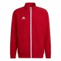 adidas Entrada 22 pristatymo švarkas raudonas H57536 S