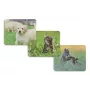 Hama Animal 4 prievadų USB 2.0 šakotuvas su USB-C jungtimi, rudas/baltas šuns dizainas