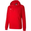 PUMA teamGOAL 23 laisvalaikio gobtuvas raudonas
