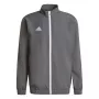 adidas Entrada 22 pristatymo švarkas pilka/juoda XL